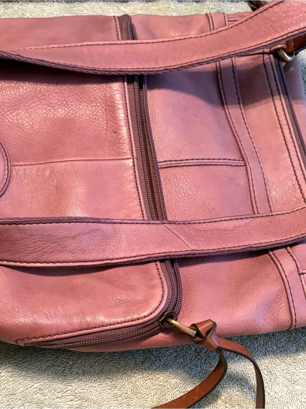 Fossil beautiful genuine
